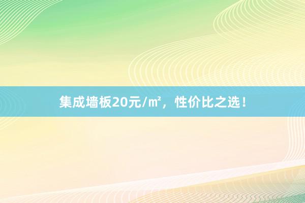 集成墙板20元/㎡，性价比之选！